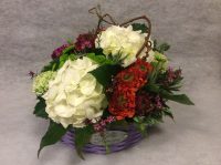 Fiori per interni