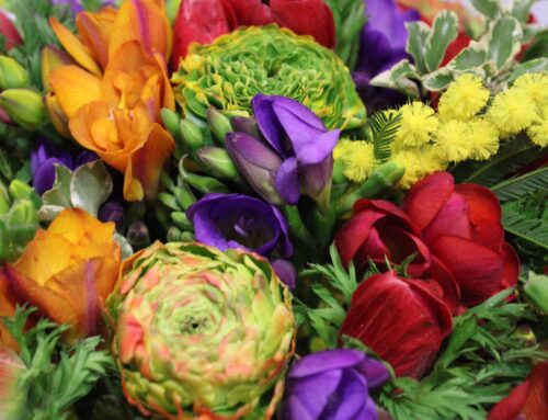 Fiori Estivi: Colori e Calore nelle Composizioni floreali