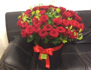rosa rossa