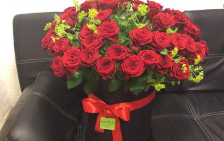 rosa rossa