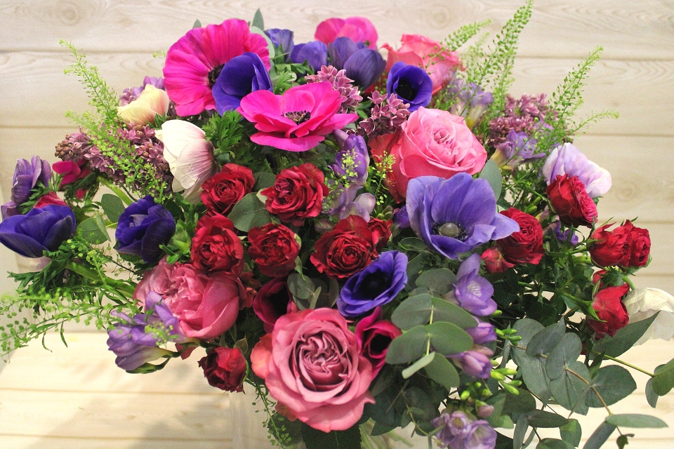 Sogno di primavera