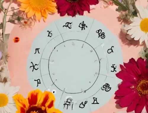 Fiori e segni zodiacali: quali sono i fiori portafortuna per ogni segno?